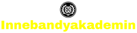 innebandyakademin.se